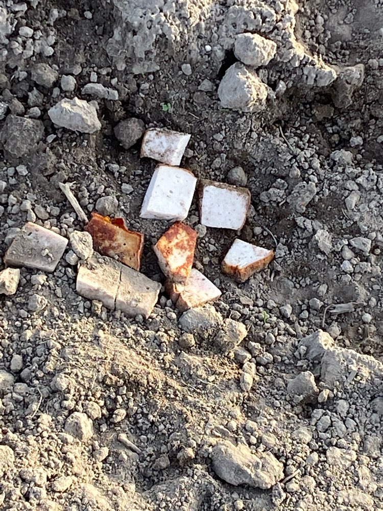 Giftköder-Möglicher Giftköder-Profilbild