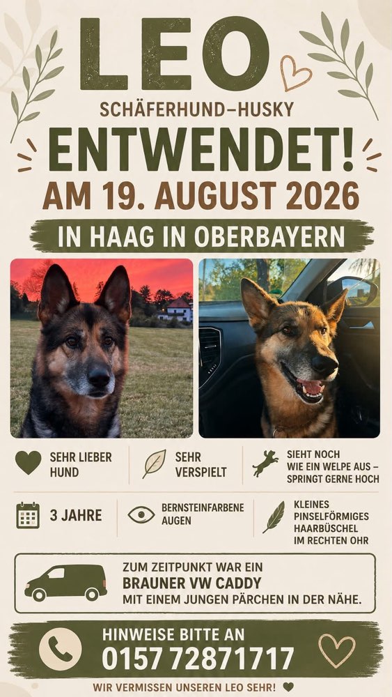 Giftköder-Hund aus Garten gestohlen-Profilbild