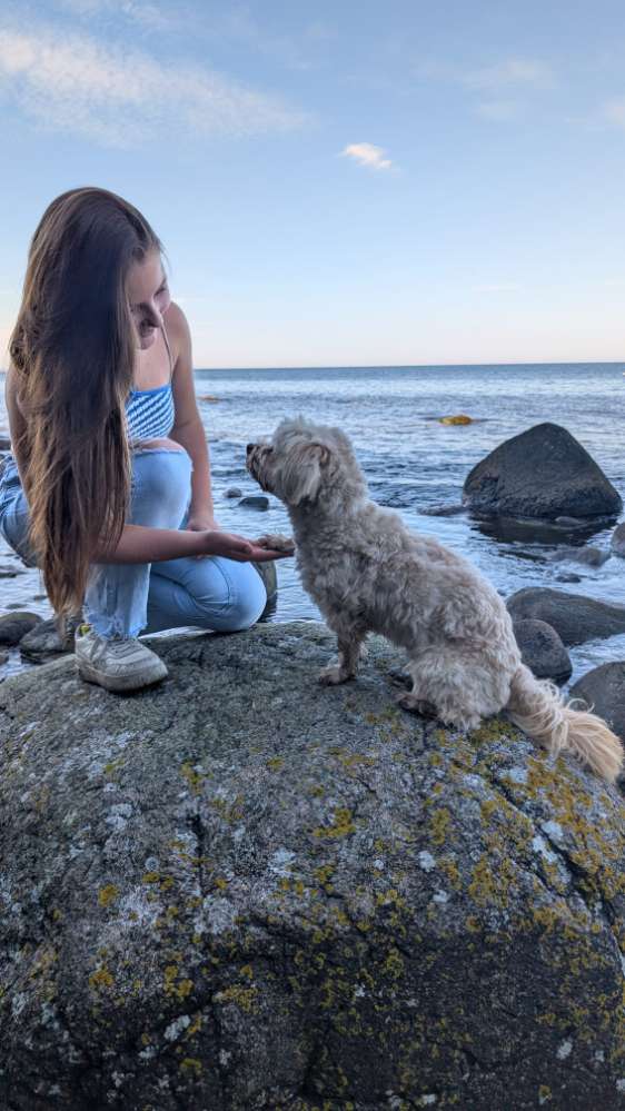 Hundetreffen-Gassi-Treffen-Profilbild