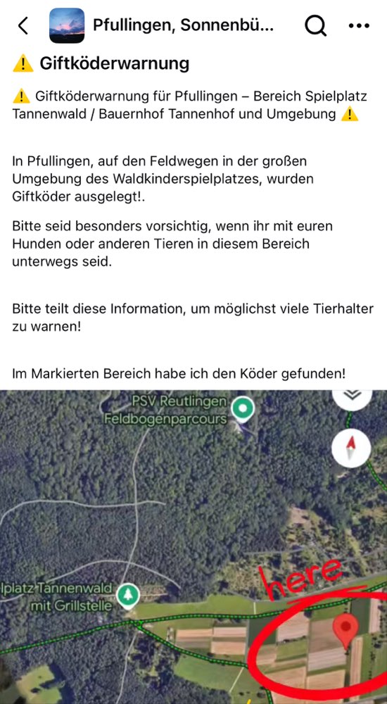 Giftköder-Giftköder in der Nähe vom Tannenwald-Profilbild