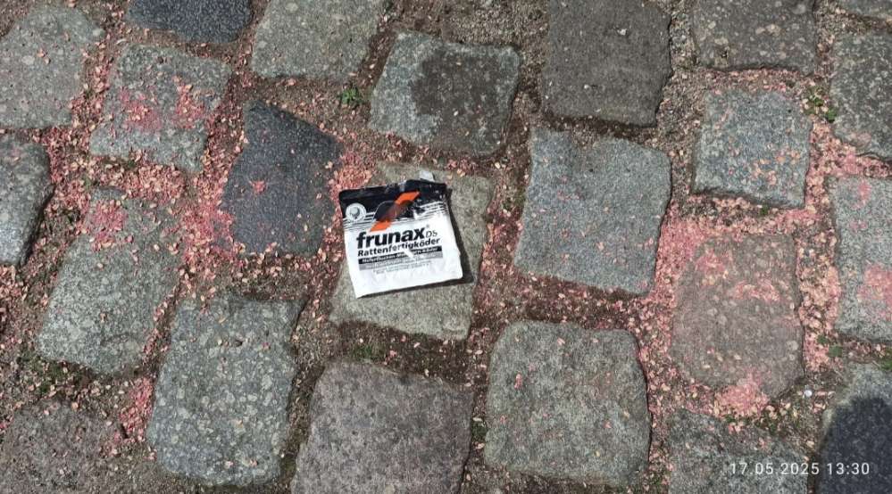 Giftköder-Giftköder verstreut-Profilbild