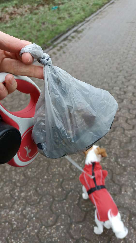 Giftköder-Eventuel Gift-Profilbild