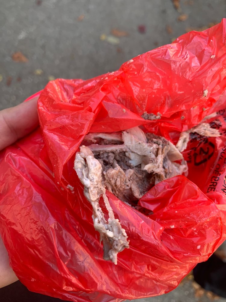 Giftköder-Eventuell Giftköder-Profilbild