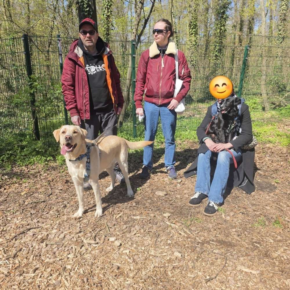 Hundetreffen-Neulindenauer Hunderunde-Profilbild