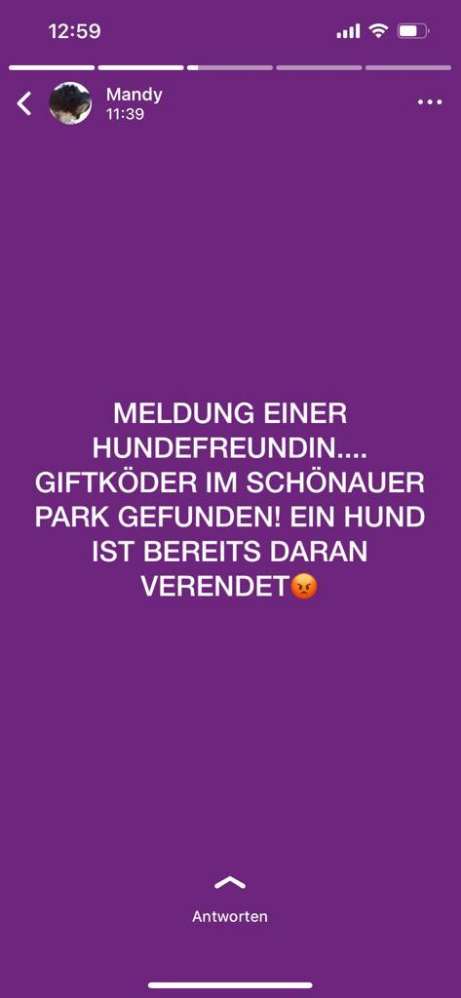 Giftköder-GIFTKÖDER-Profilbild