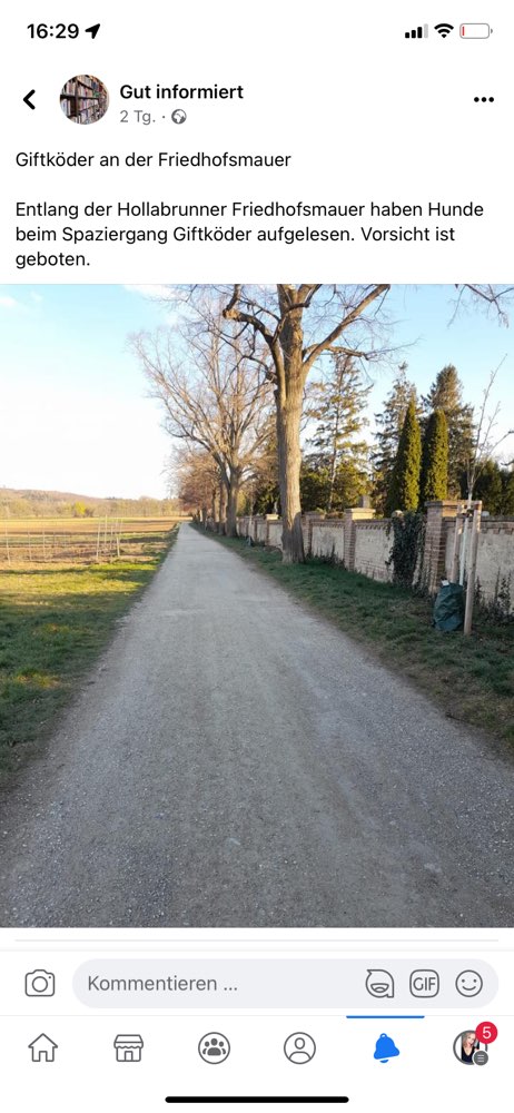 Giftköder-Giftköder-Profilbild