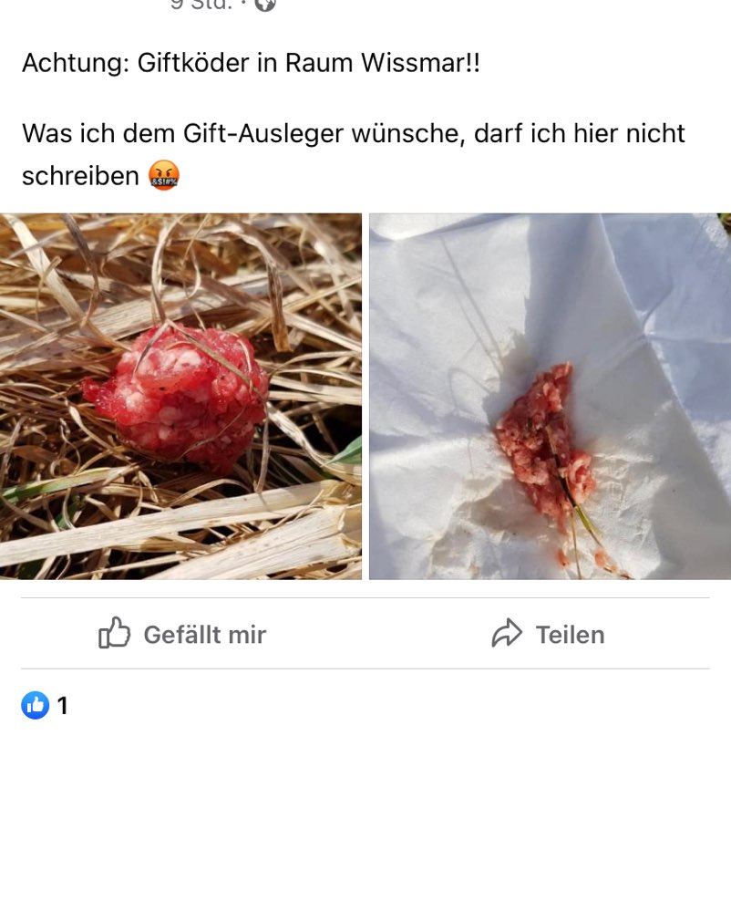 Giftköder-Giftköder Wissmar-Profilbild