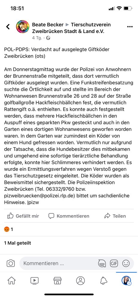 Giftköder-Verdacht auf Giftköder-Profilbild