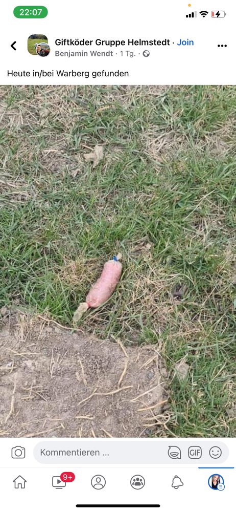 Giftköder-Eventuell Giftköder-Profilbild