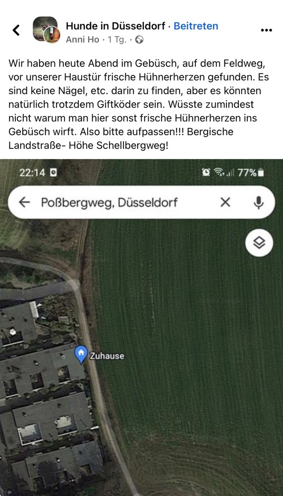 Giftköder-Hühnerherzen-Profilbild