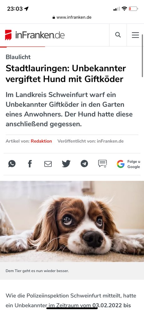 Giftköder-Giftköder über Zaun geschmissen-Profilbild