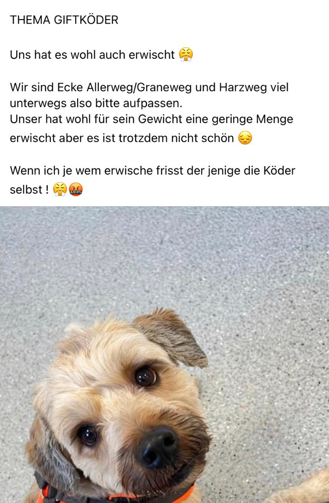 Giftköder-Giftköder-Profilbild