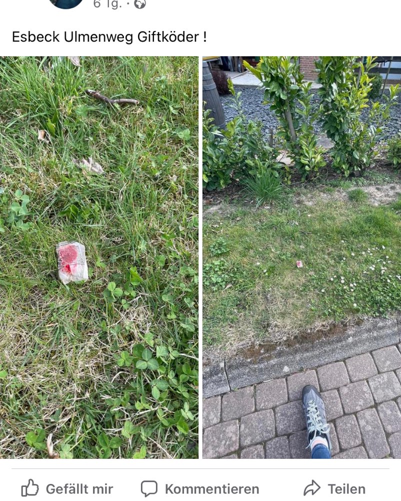 Giftköder-Giftköder-Profilbild