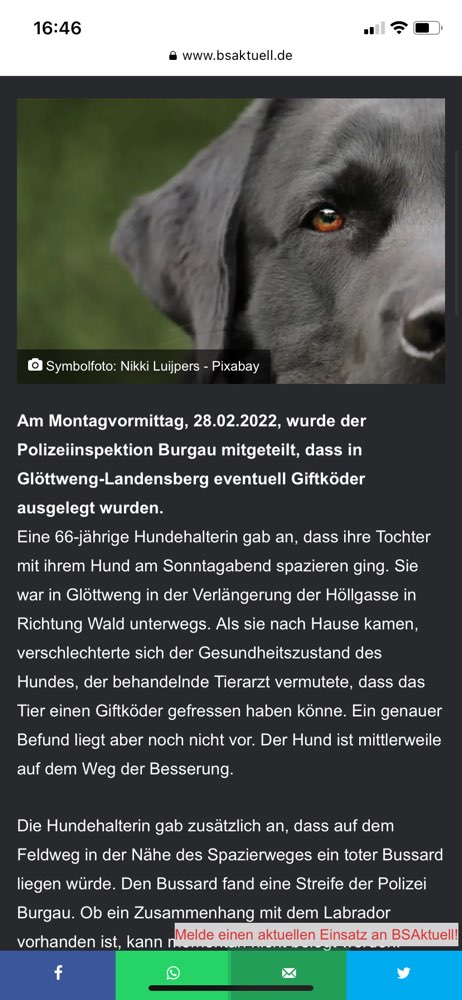 Giftköder-Giftköder-Profilbild