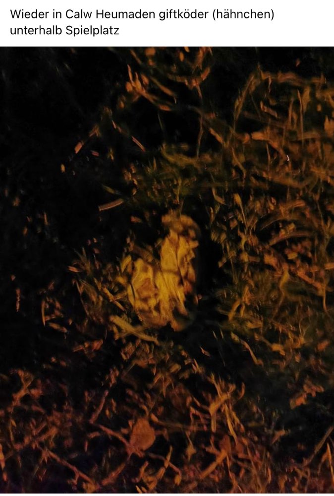 Giftköder-Giftköder Hähnchen-Profilbild