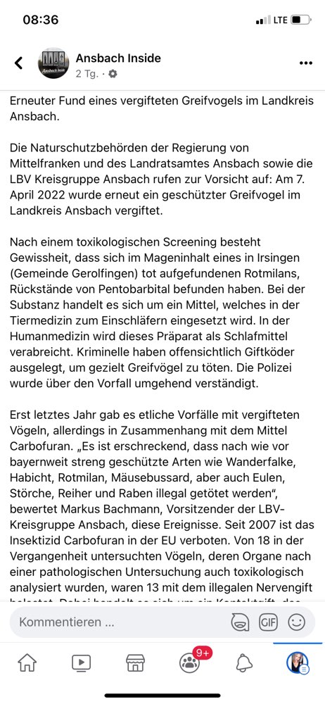 Giftköder-Vergifteter Vogel-Profilbild