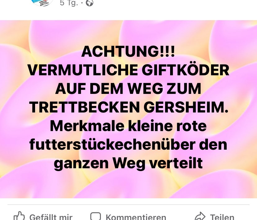 Giftköder-Giftköder-Profilbild