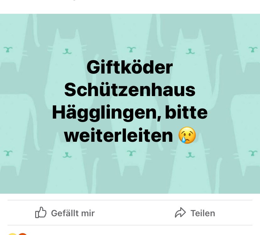 Giftköder-Giftköder-Profilbild