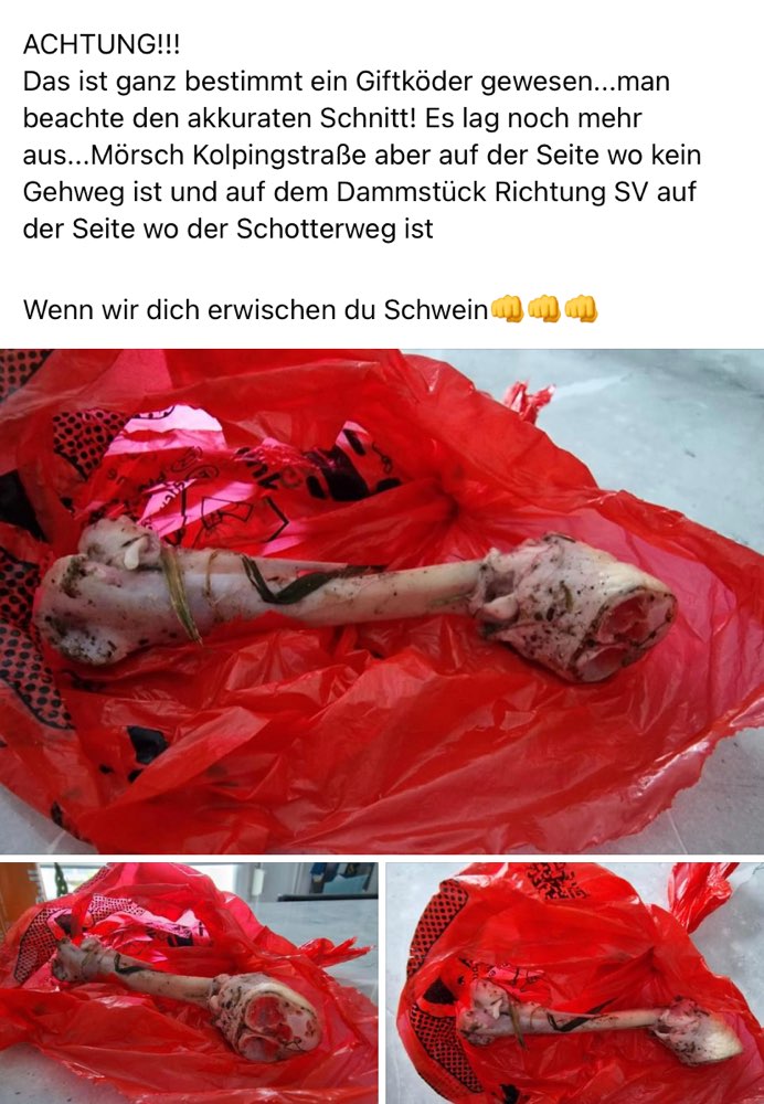 Giftköder-Vermutlich Köder-Profilbild