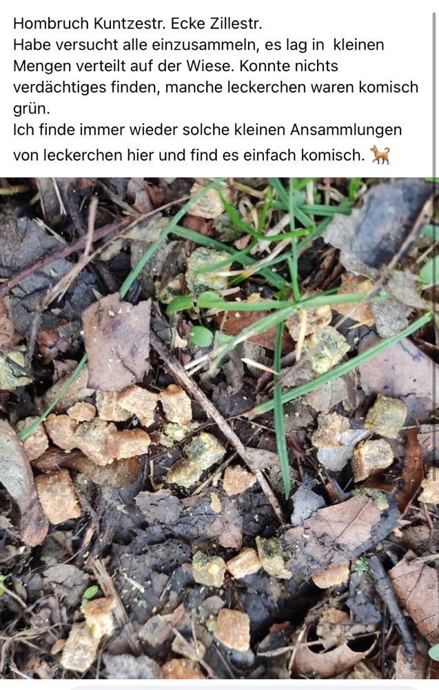 Giftköder-Leckerlies komische Farbe-Profilbild