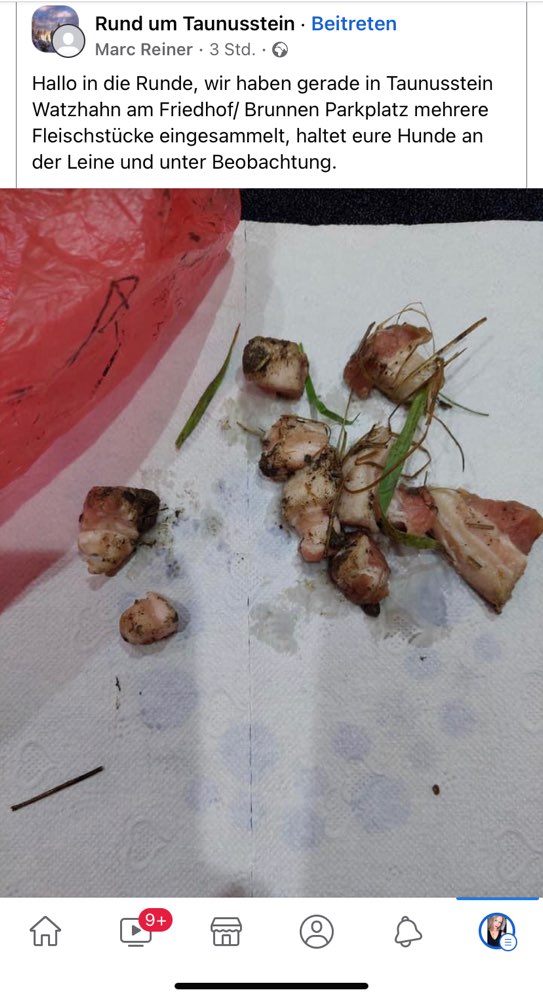 Giftköder-Fleischreste Taunusstein-Profilbild