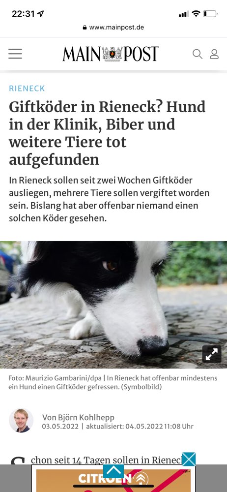 Giftköder-Giftköder-Profilbild