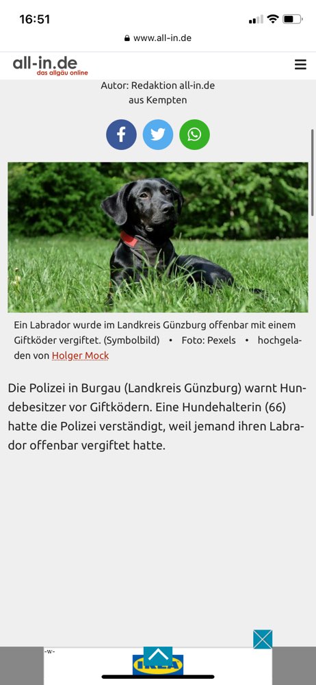 Giftköder-Giftköder-Profilbild