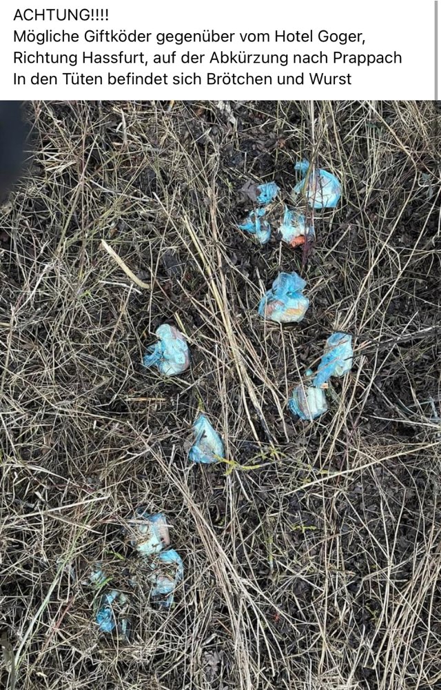 Giftköder-Möglicherweise Giftköder-Profilbild