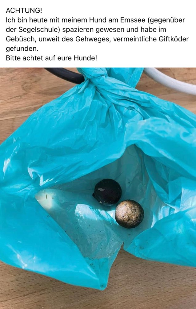 Giftköder-Eventuell Giftköder-Profilbild