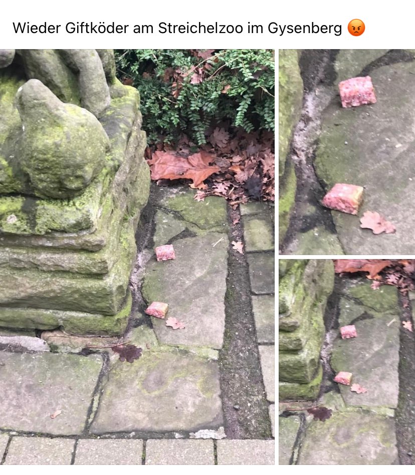 Giftköder-Wieder Giftköder-Profilbild