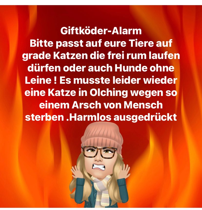 Giftköder-Giftköder-Profilbild