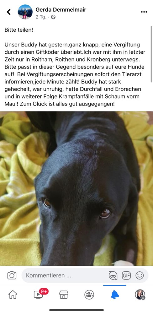 Giftköder-Giftköder in der Umgebung-Profilbild