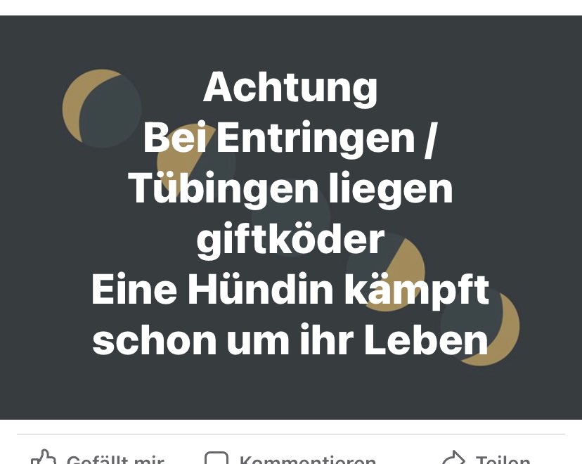 Giftköder-Giftköder-Profilbild