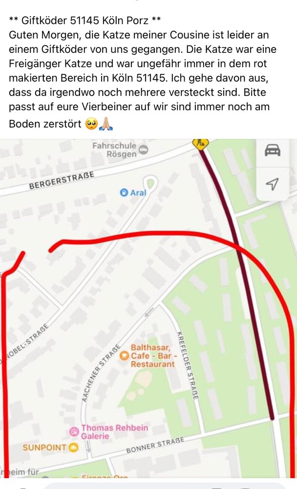 Giftköder-Giftköder-Profilbild