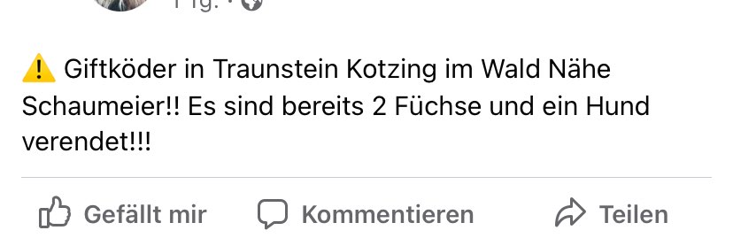 Giftköder-Giftköder-Profilbild