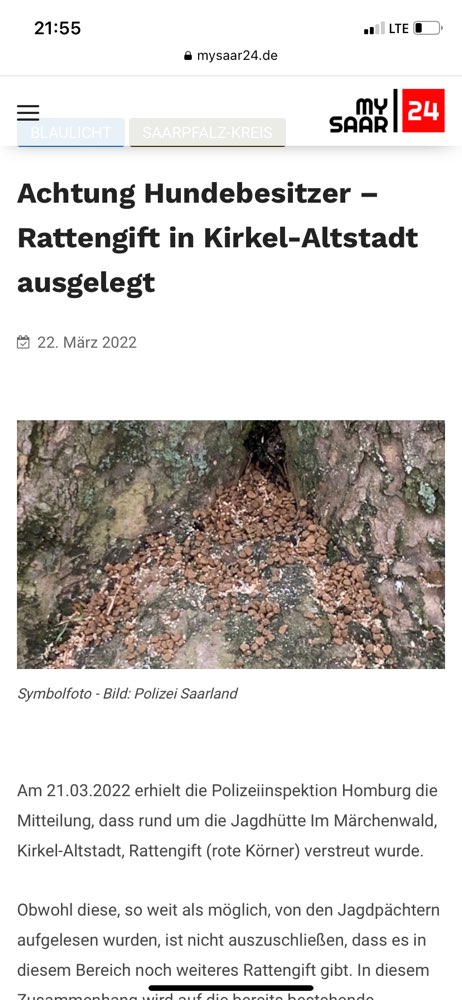 Giftköder-Rattengift-Profilbild