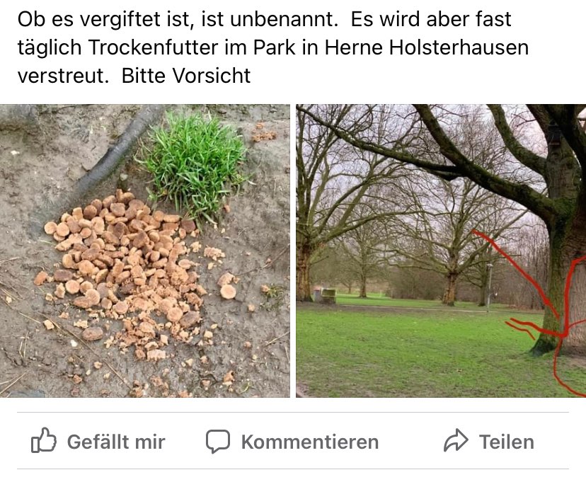 Giftköder-Trockenfutter im Park-Profilbild