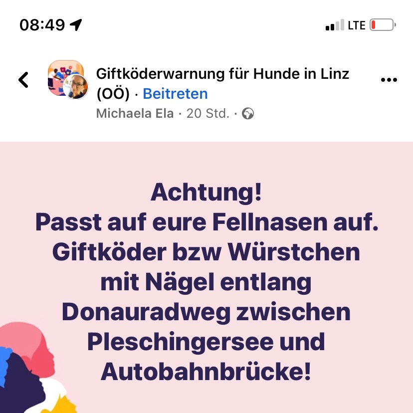 Giftköder-Giftköder-Profilbild