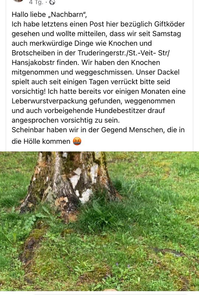 Giftköder-Knochen, Brot etc-Profilbild