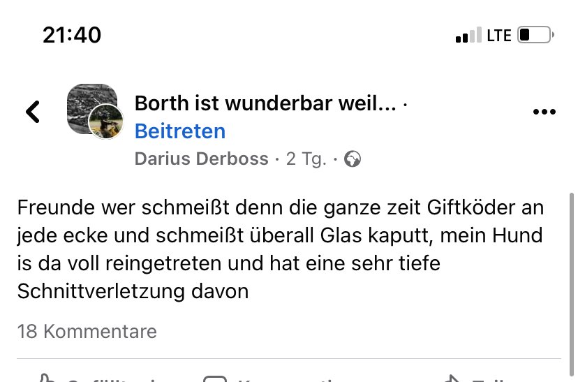 Giftköder-Giftköder und Scherben-Profilbild