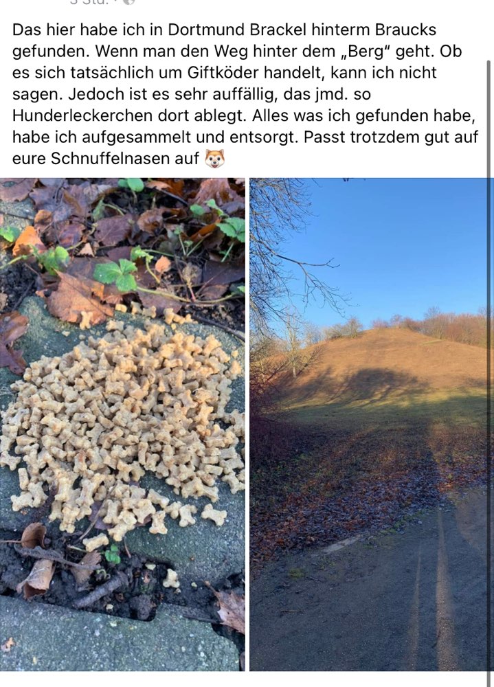 Giftköder-Leckerlie Haufen-Profilbild