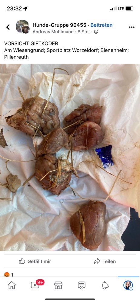 Giftköder-Giftköder-Profilbild