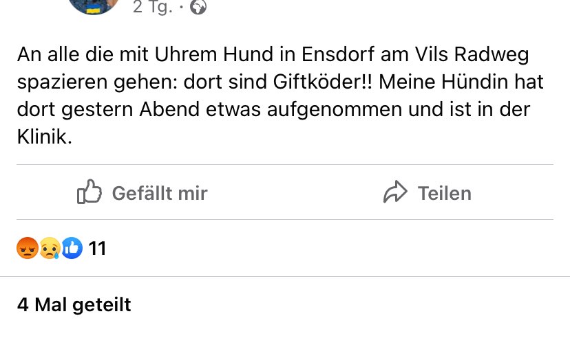 Giftköder-Giftköder-Profilbild