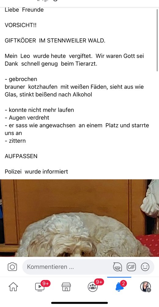 Giftköder-Giftköder-Profilbild