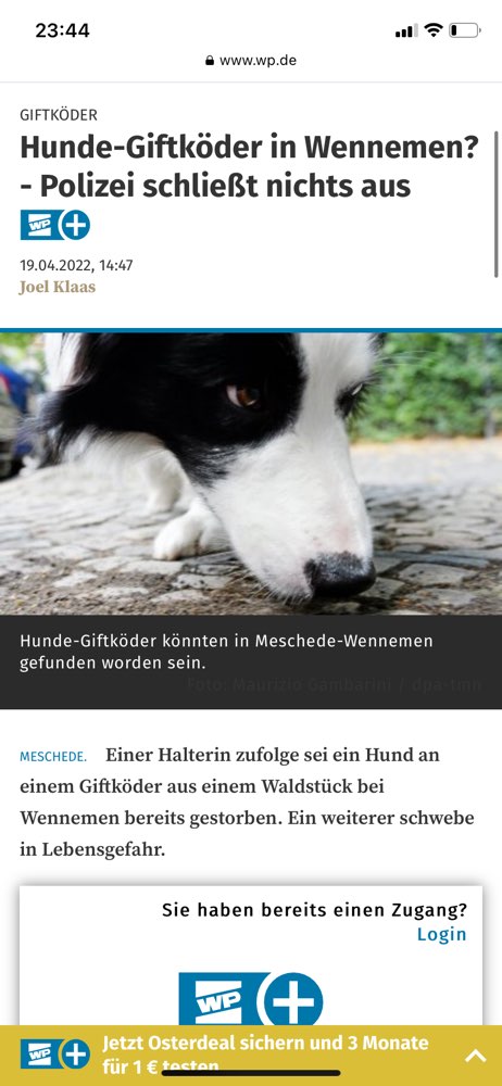 Giftköder-Giftköder-Profilbild