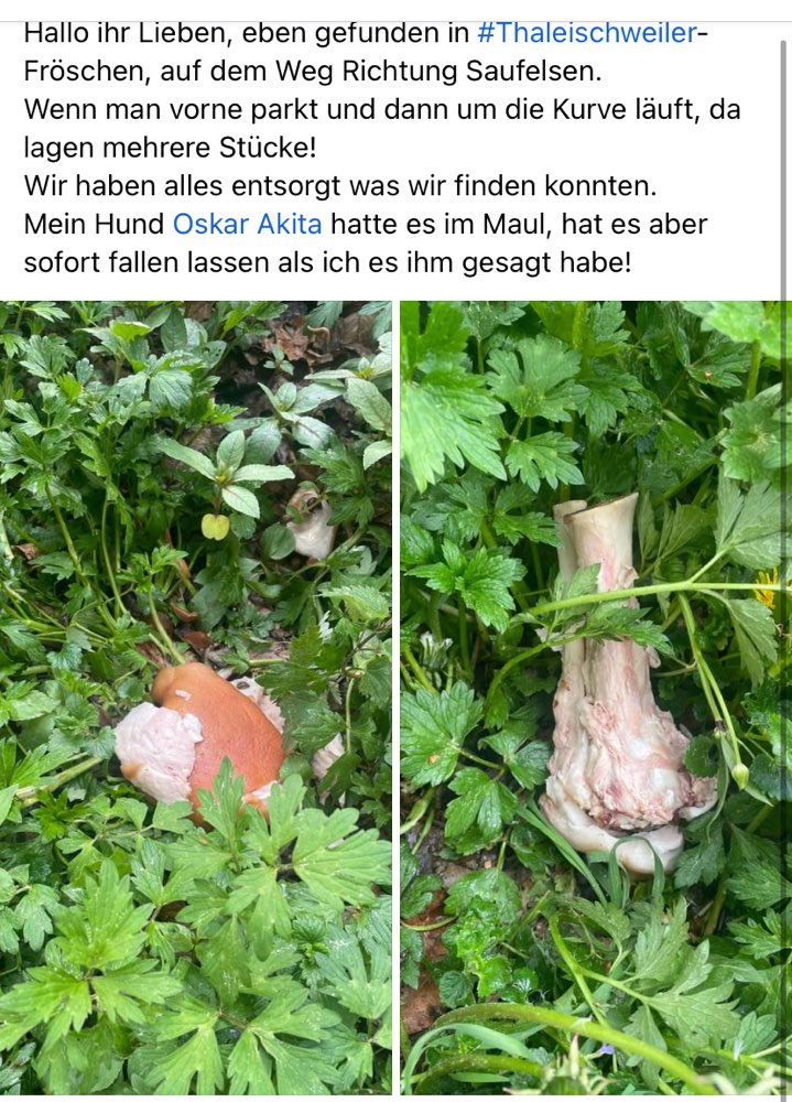 Giftköder-Reste und Knochen-Profilbild