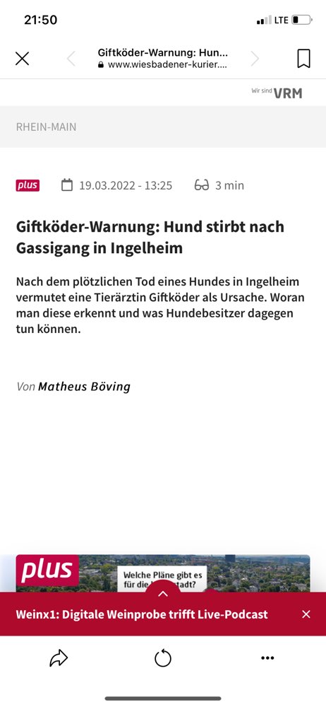 Giftköder-Giftköder-Profilbild