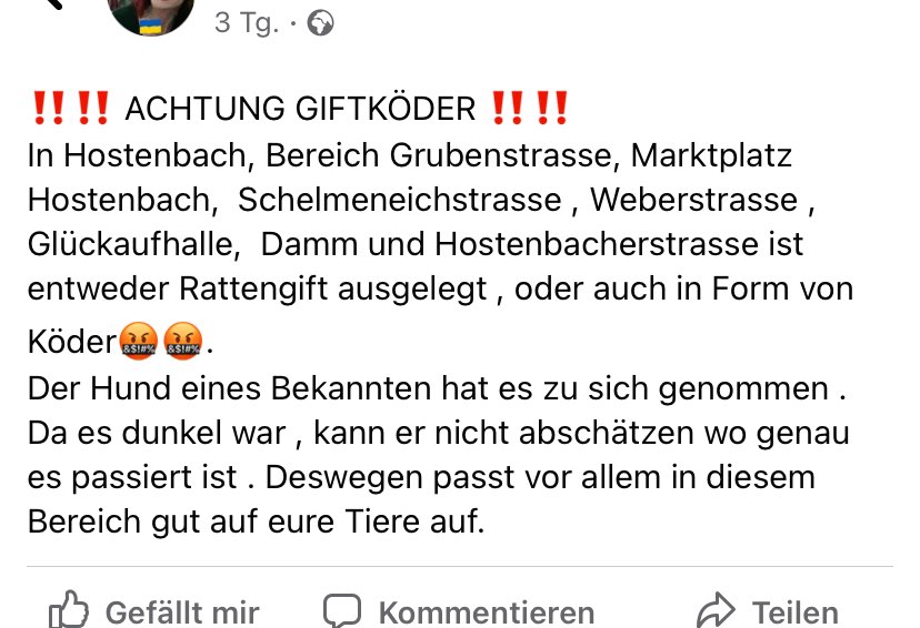 Giftköder-Giftköder-Profilbild
