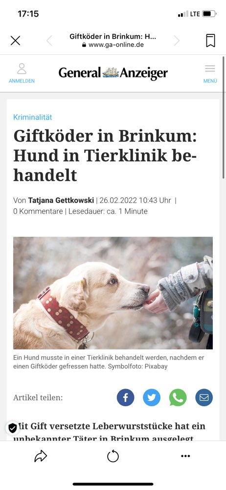 Giftköder-Giftköder-Profilbild