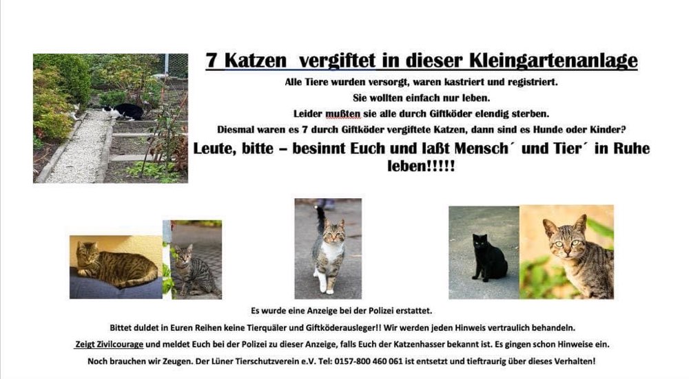 Giftköder-Karten vergiftet-Profilbild